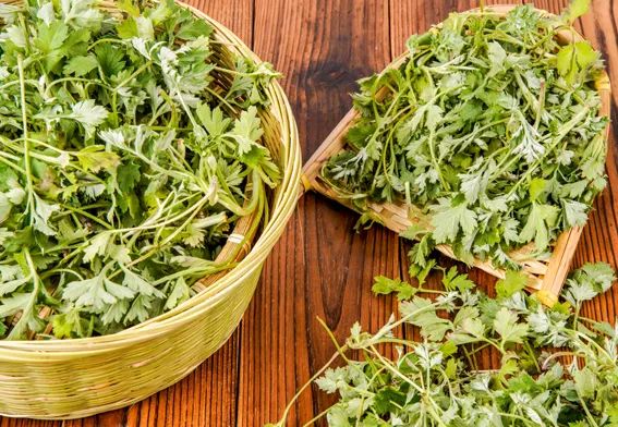 必一·运动(B-Sports)