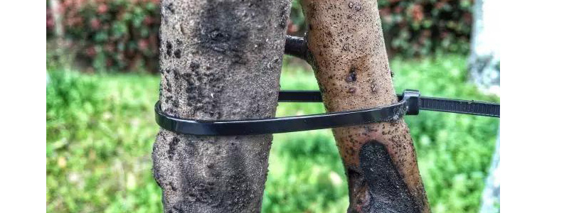 必一·运动(B-Sports)