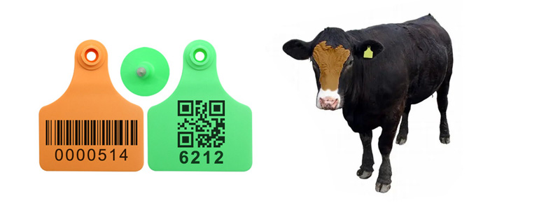 必一·运动(B-Sports)