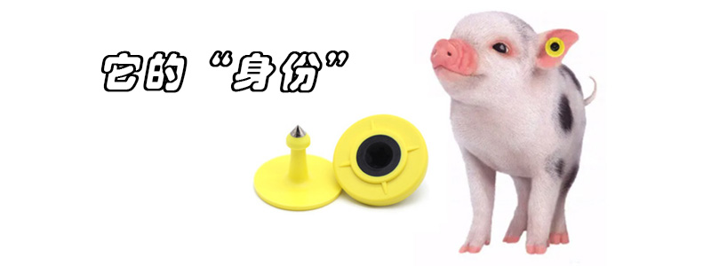 必一·运动(B-Sports)