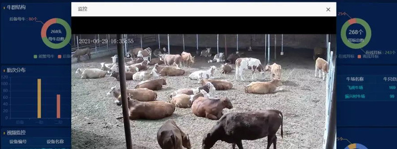 必一·运动(B-Sports)