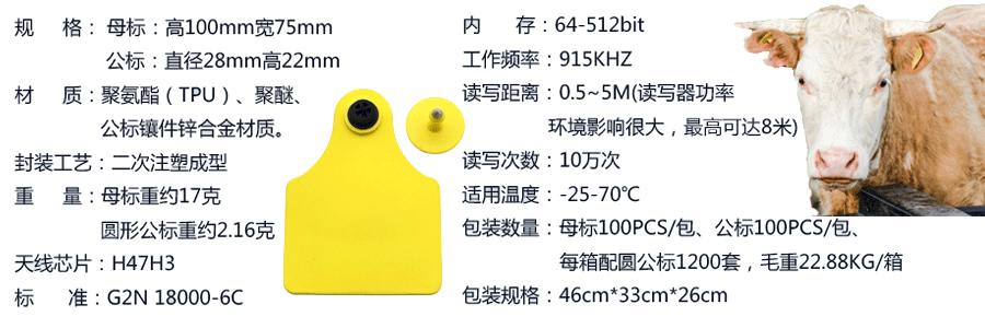 必一·运动(B-Sports)