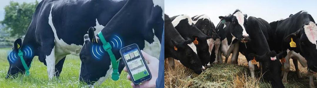 必一·运动(B-Sports)