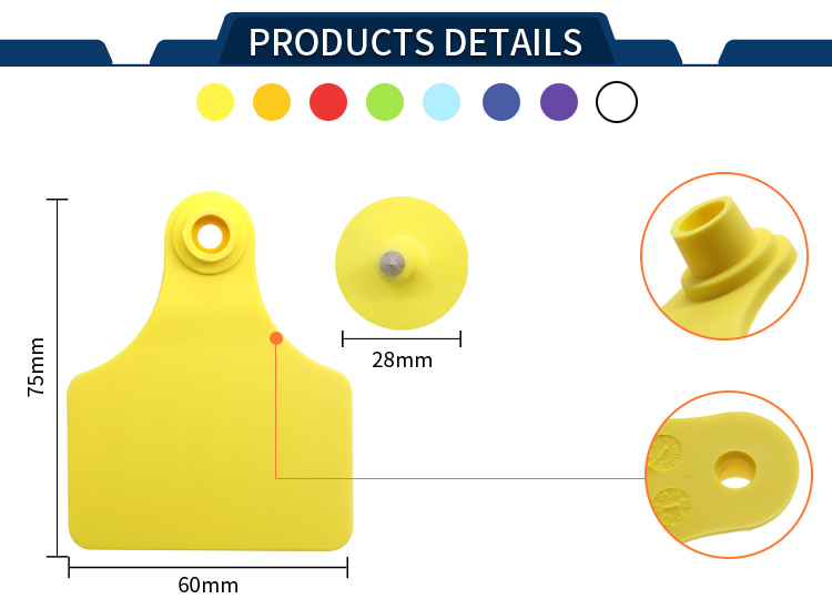 必一·运动(B-Sports)