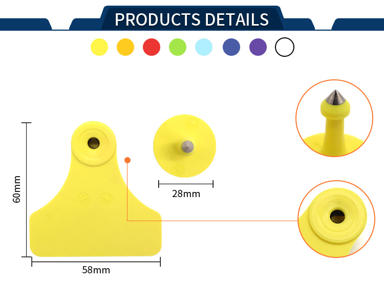 必一·运动(B-Sports)