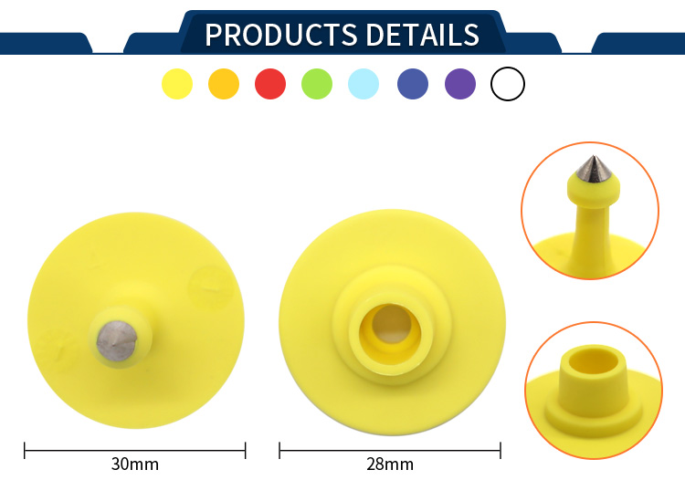 必一·运动(B-Sports)